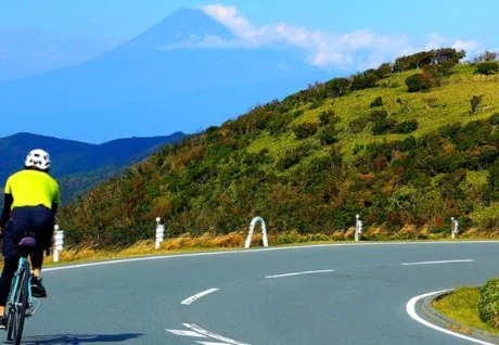 Izu City | IZU Peninsula - experience the best Izu has to offer in