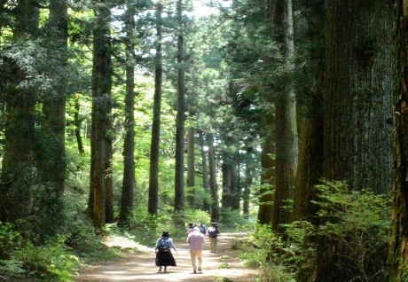 Hike Hakone Hachiri