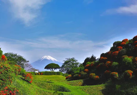 Nature