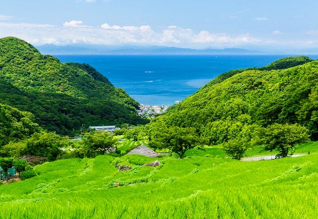 Nishi Izu