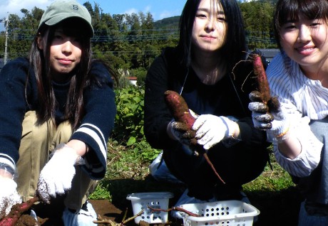 Vegetable Harvest & BBQ