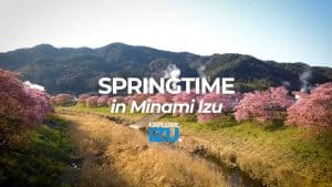 Minami Izu in Spring