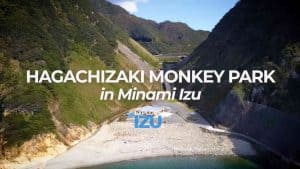 Hachigazaki Monkey Park
