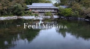 Feel Mishima You Tube Video
